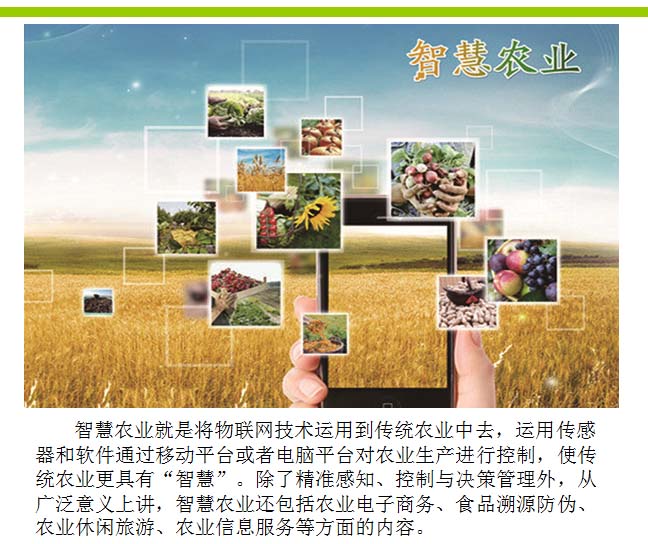 区域典型农作物遥感信息提取与空间分析系统